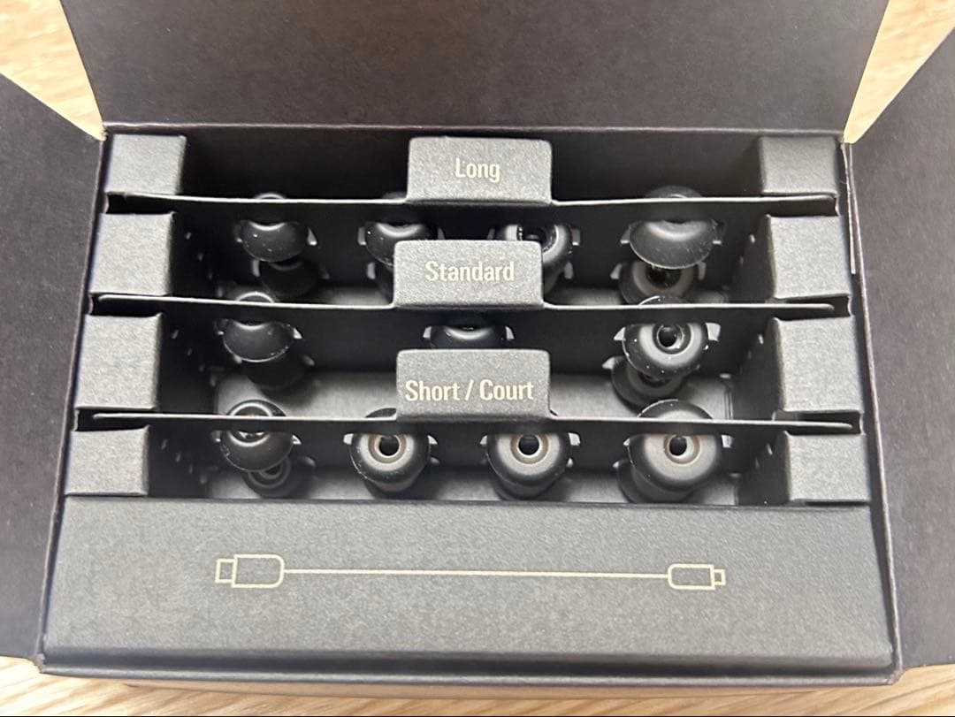 【美品】audio-technica ATH-TWX9 MK2ブラックおまけ付き