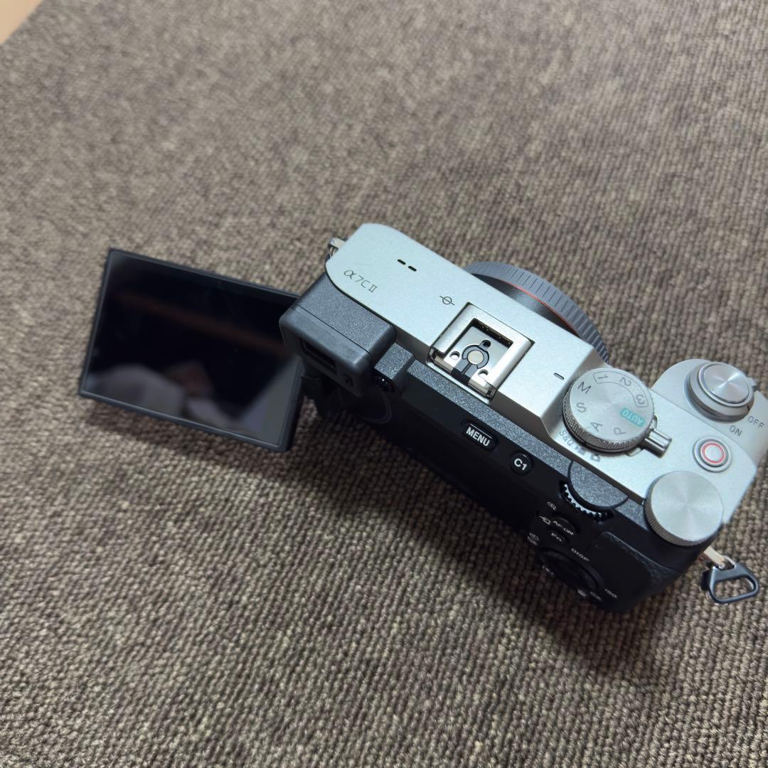 SONY a7cii ボディ　smallrig付き