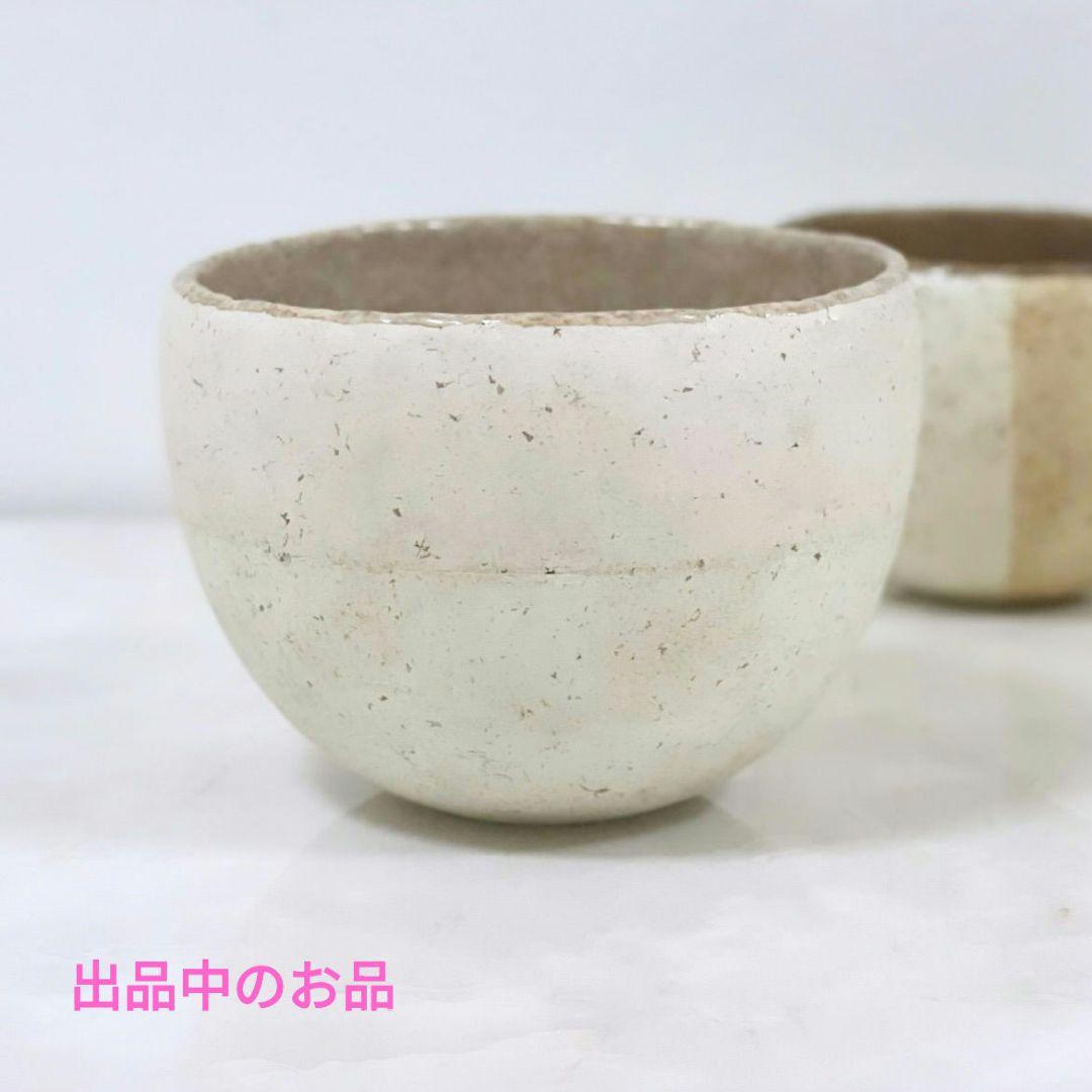 極美品 ディゴワンサルグミンヌ深皿1枚 クレイユモントロームスティエキュノワール