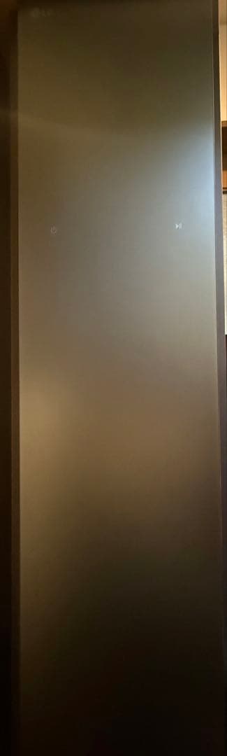 LG Styler スチームウォッシュ＆ドライ ミストグリーン S3GNF