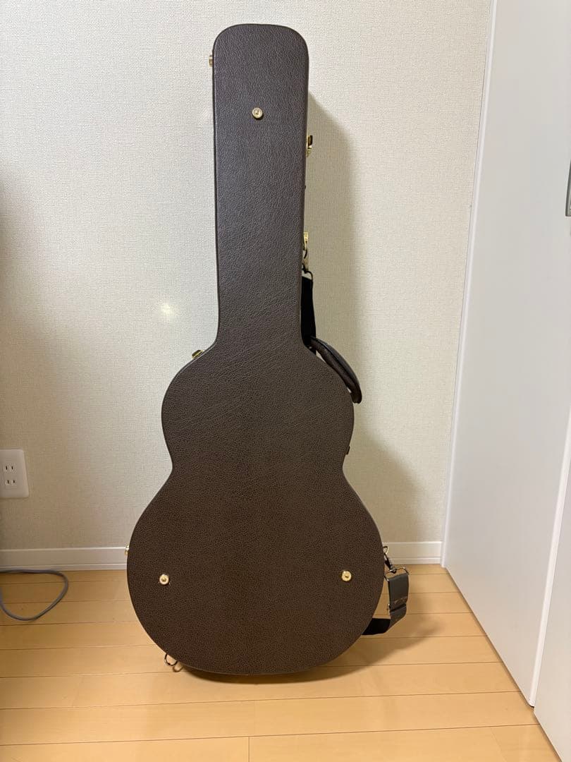 ギター Takamine DMP50S WR