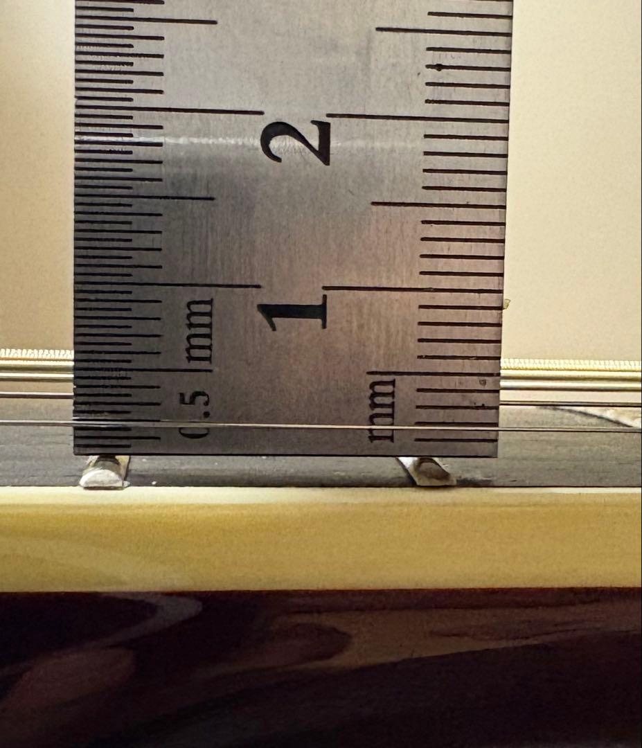 ギター Takamine DMP50S WR