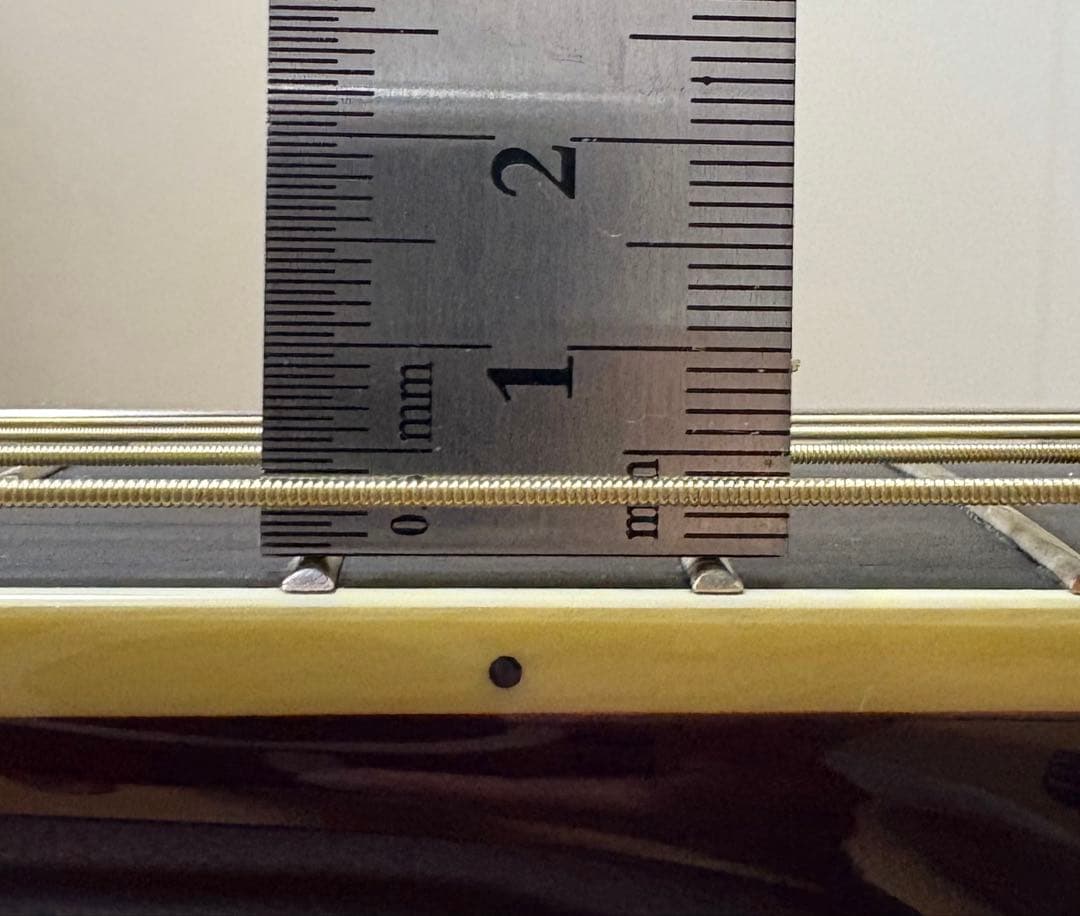 ギター Takamine DMP50S WR