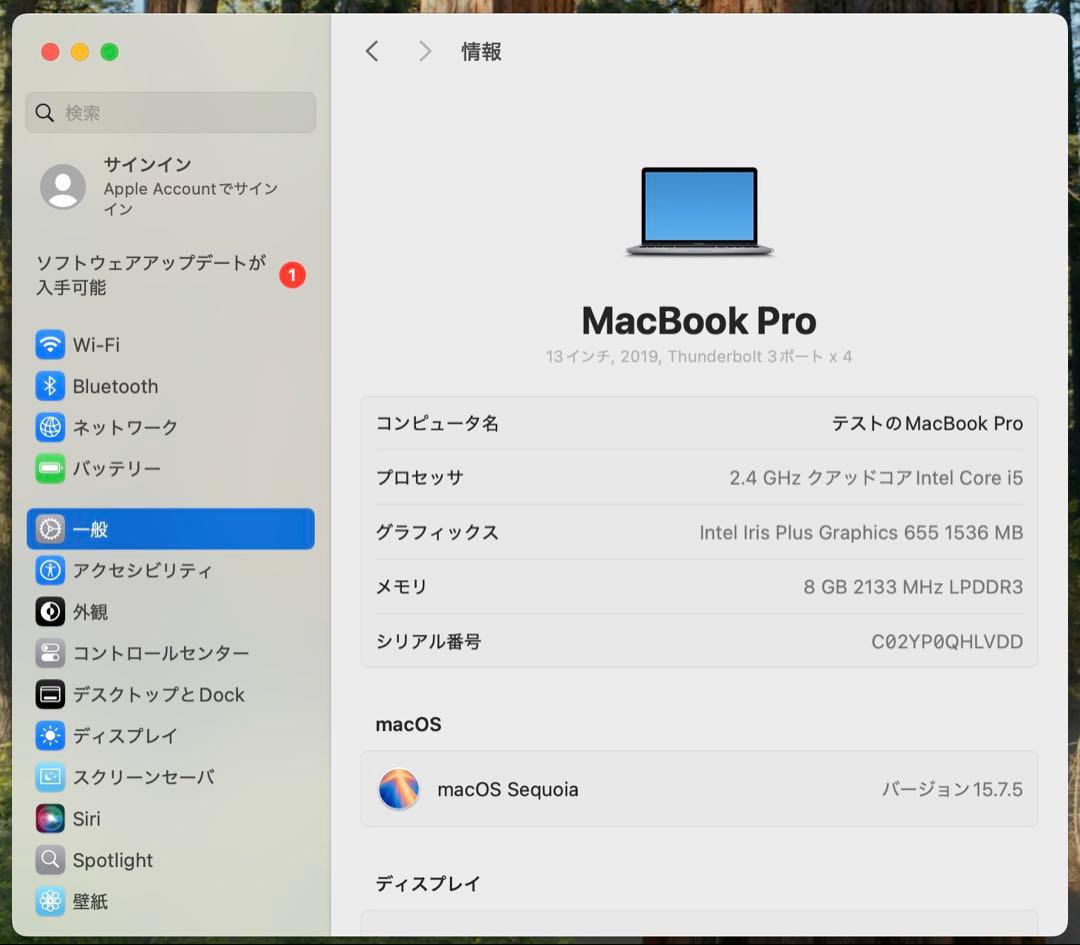 MacBook本体 Apple MacBook Pro 2019 13 inch