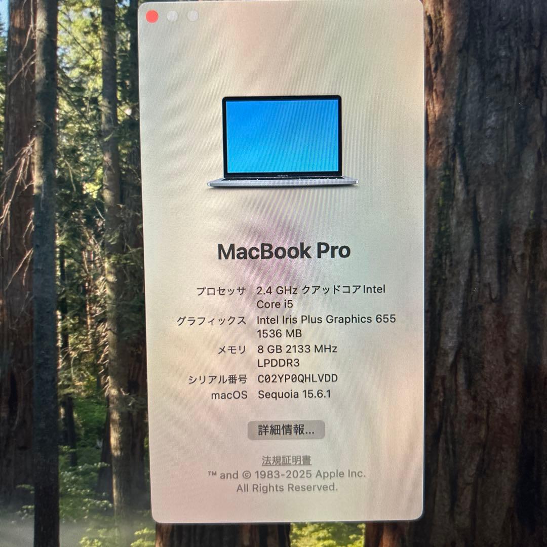 MacBook本体 Apple MacBook Pro 2019 13 inch