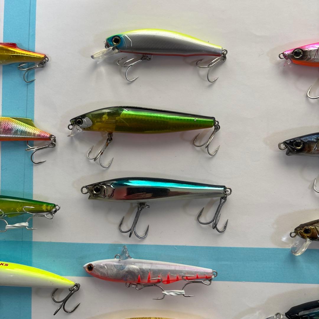 シーバス、青物、セット売り