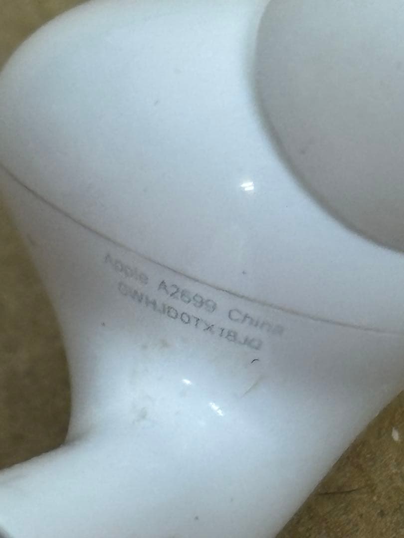 動作品！AirPods Pro 第2 A2700/2698/2699 19268