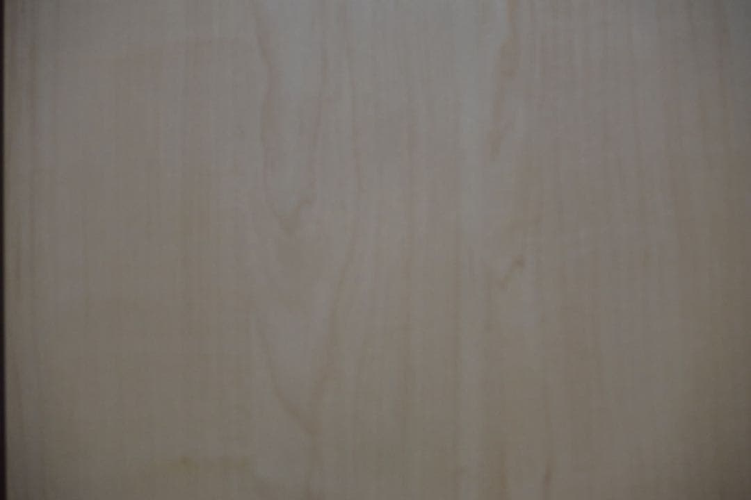 【ニコン】Nikon D3300 ボディ　おまけレンズ