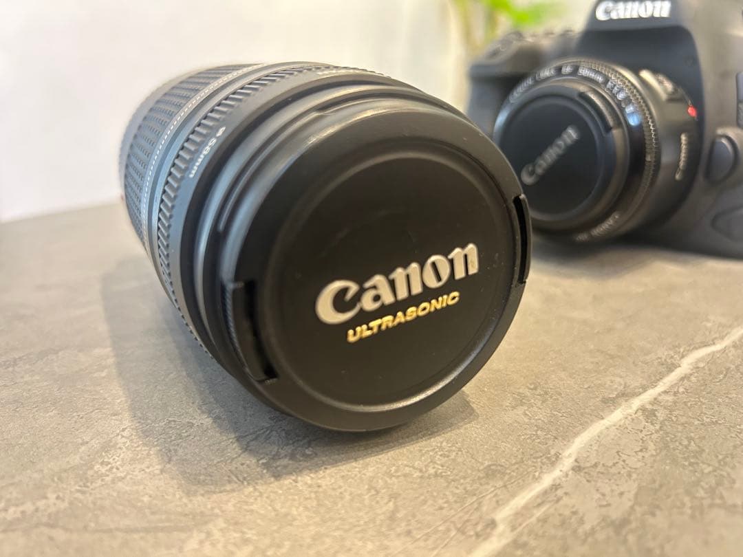 フルサイズ対応EF 75-300mmレンズ、50mm単焦点レンズの2個セット