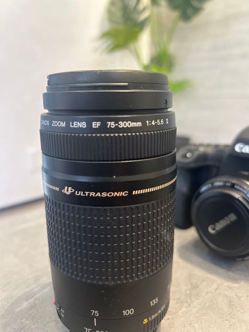 フルサイズ対応EF 75-300mmレンズ、50mm単焦点レンズの2個セット