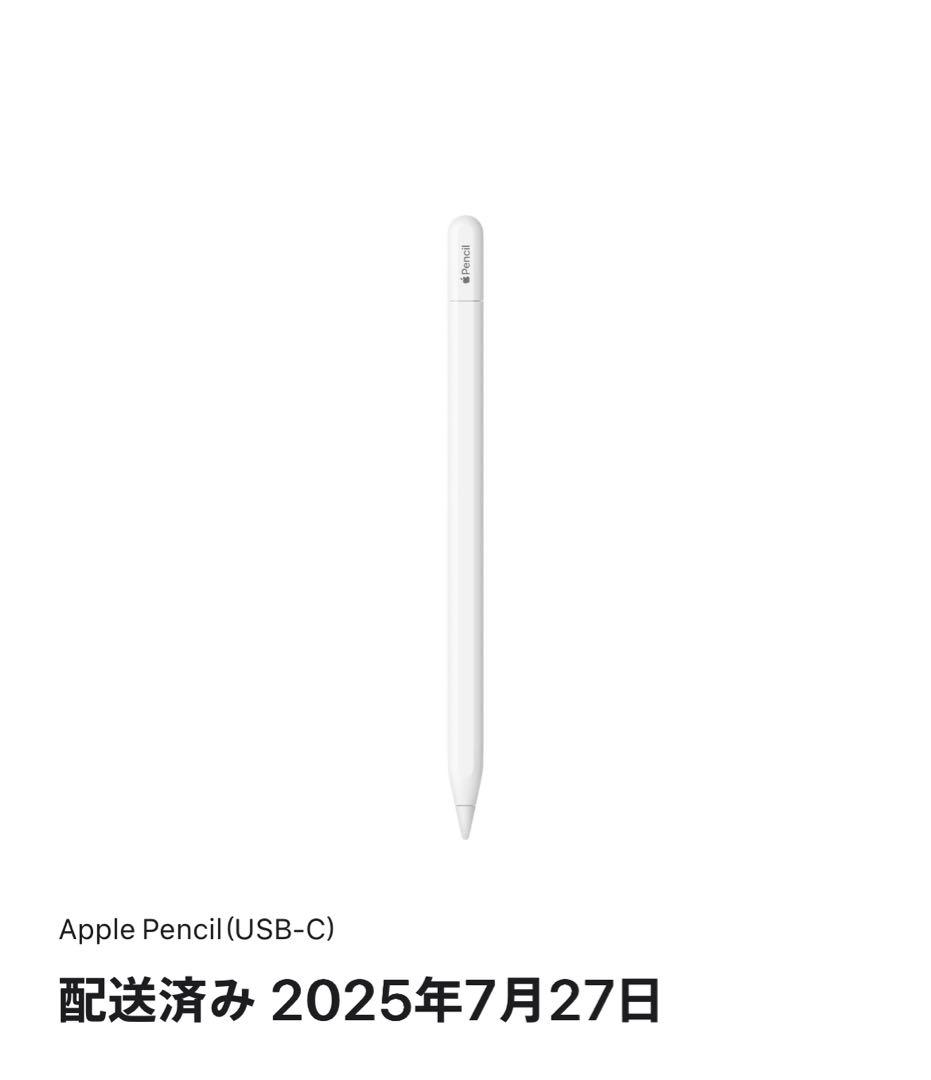 Apple Pencil (USB-C) 元箱付き