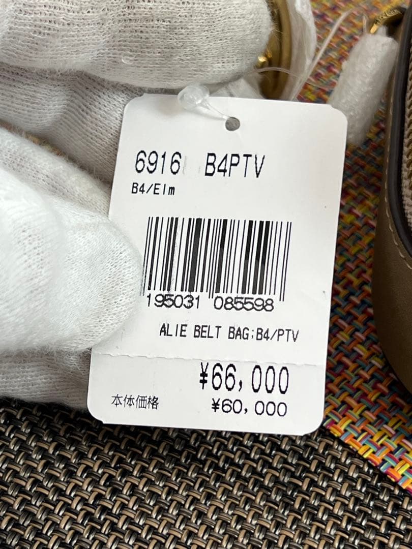 ✨新品・未使用品✨COACH コーチ　バスキア コラボ アリー ベルトバッグ