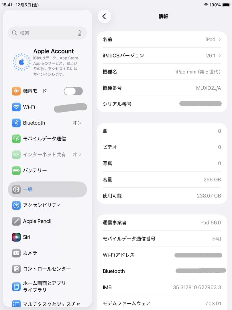 iPad mini 第5世代 Wi-Fi+Cellular 256GB