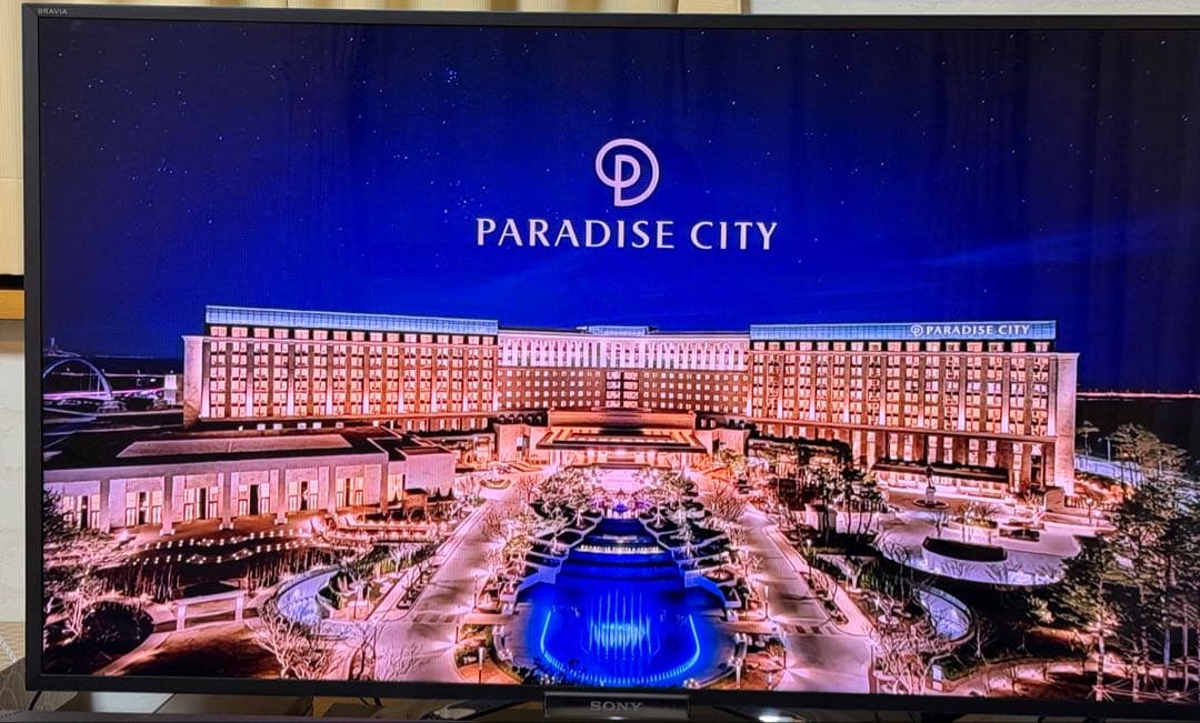 SONY BRAVIA 46V型液晶テレビ KDL-46W900A【動作確認済】