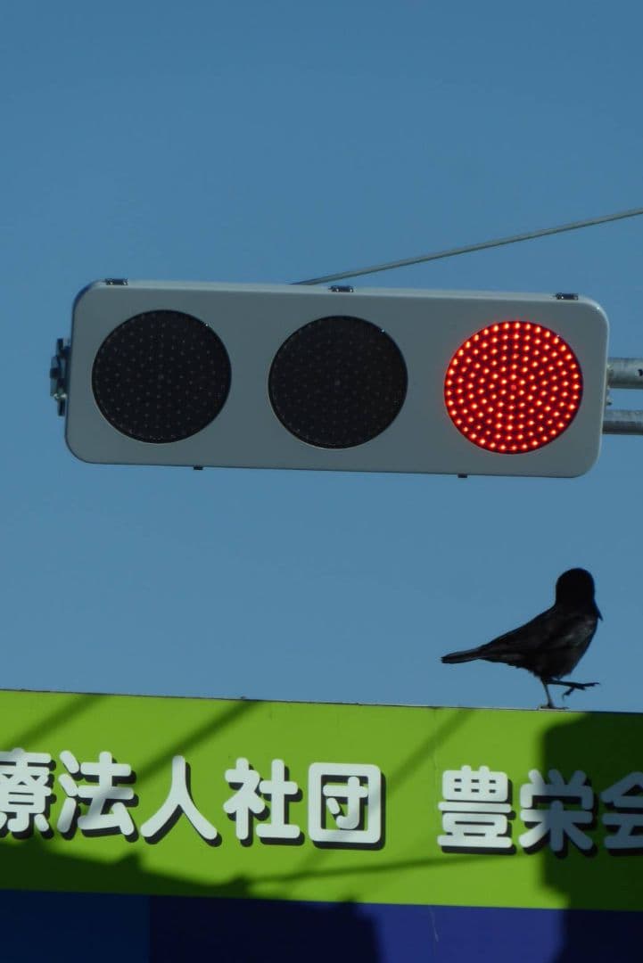 LUMIX DMC-TZ70 光学30倍ズーム バッテリー×3 SDカード付き