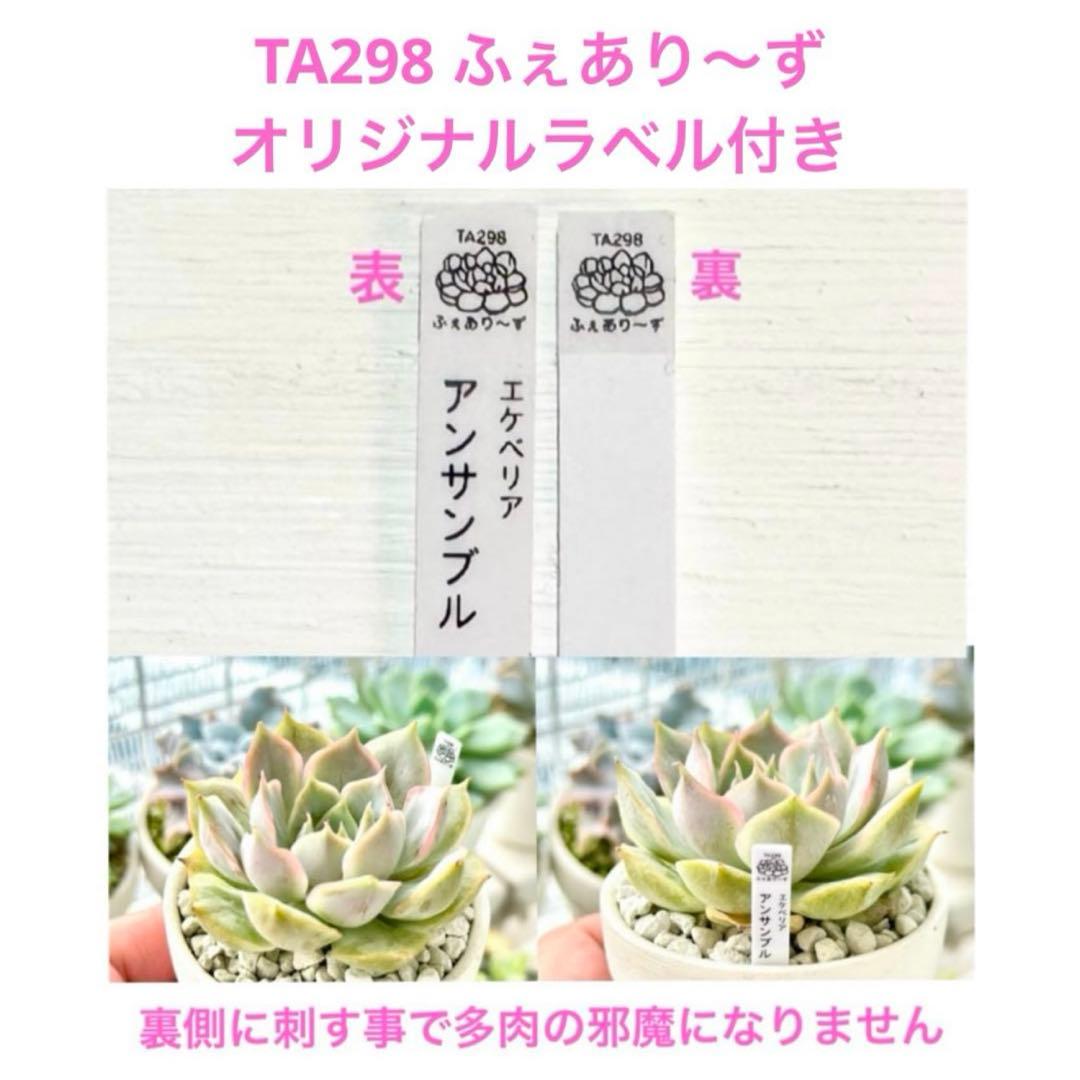 【レア@2880】クロエ(多頭)