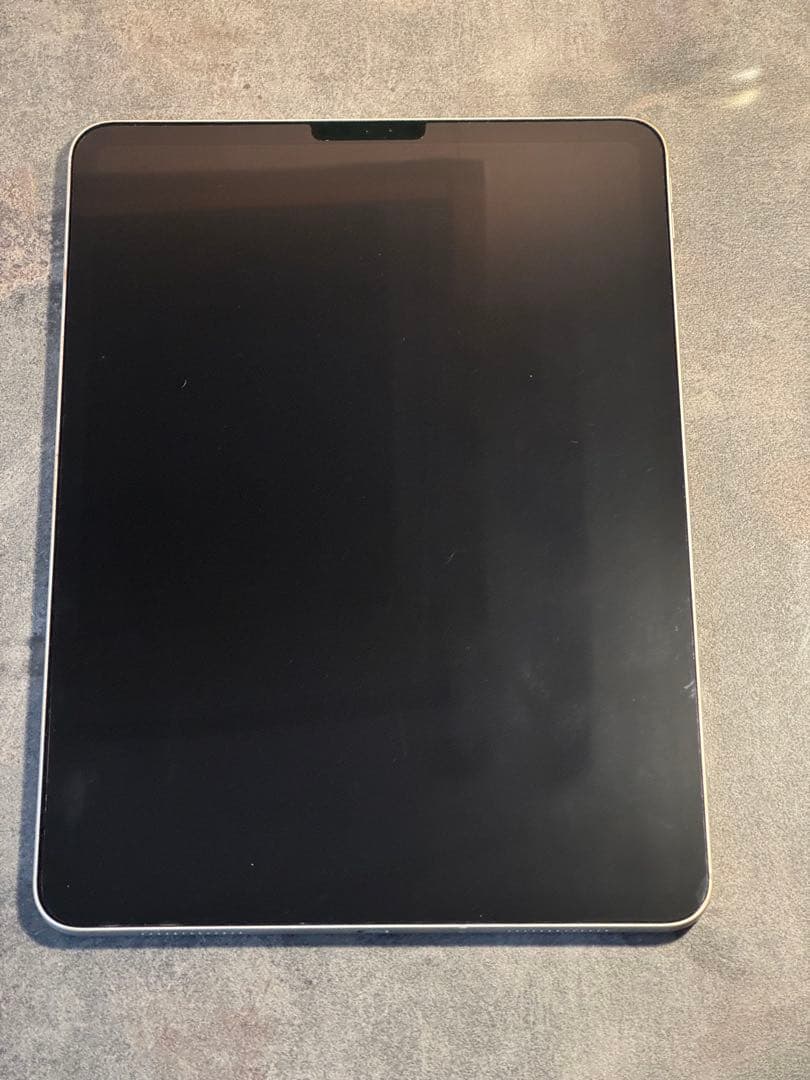 Apple iPad Pro (11インチ) 256GB シルバー　SIMフリー