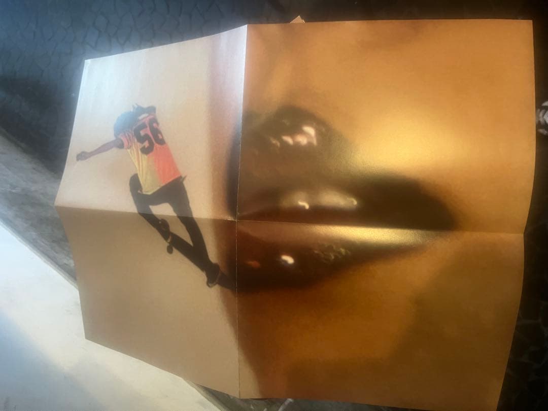 Supreme by David Sims 写真集