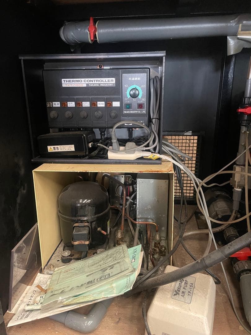 お寿司屋さんにある海水入れ