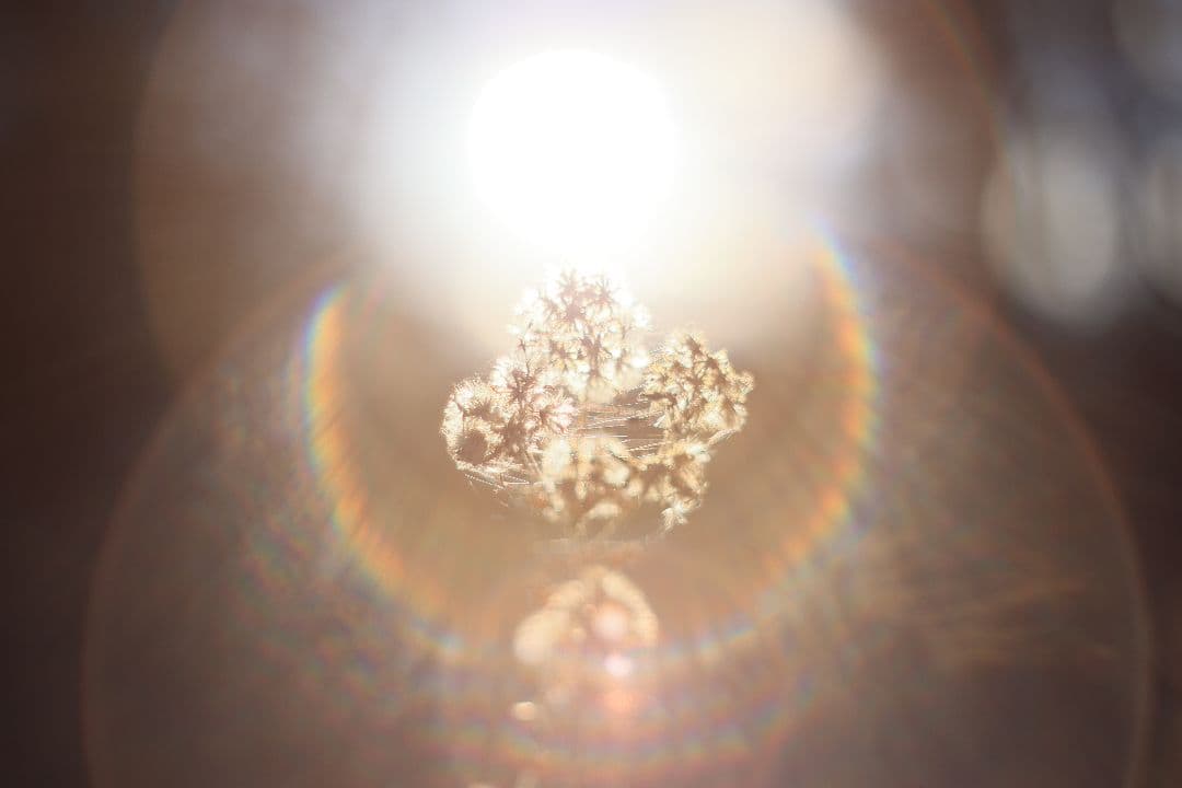 Super-Takumar 55mm F1.8 前期型 S/N：1138358