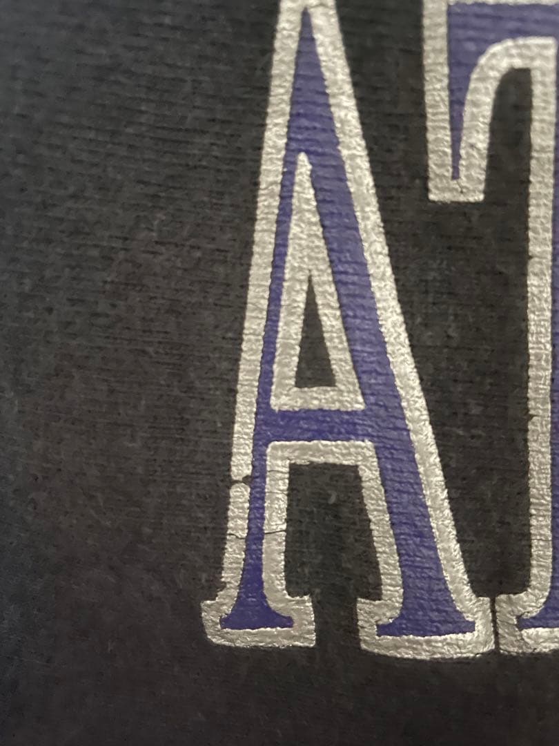 トップス Champion Reverse Weave 90s BLACK