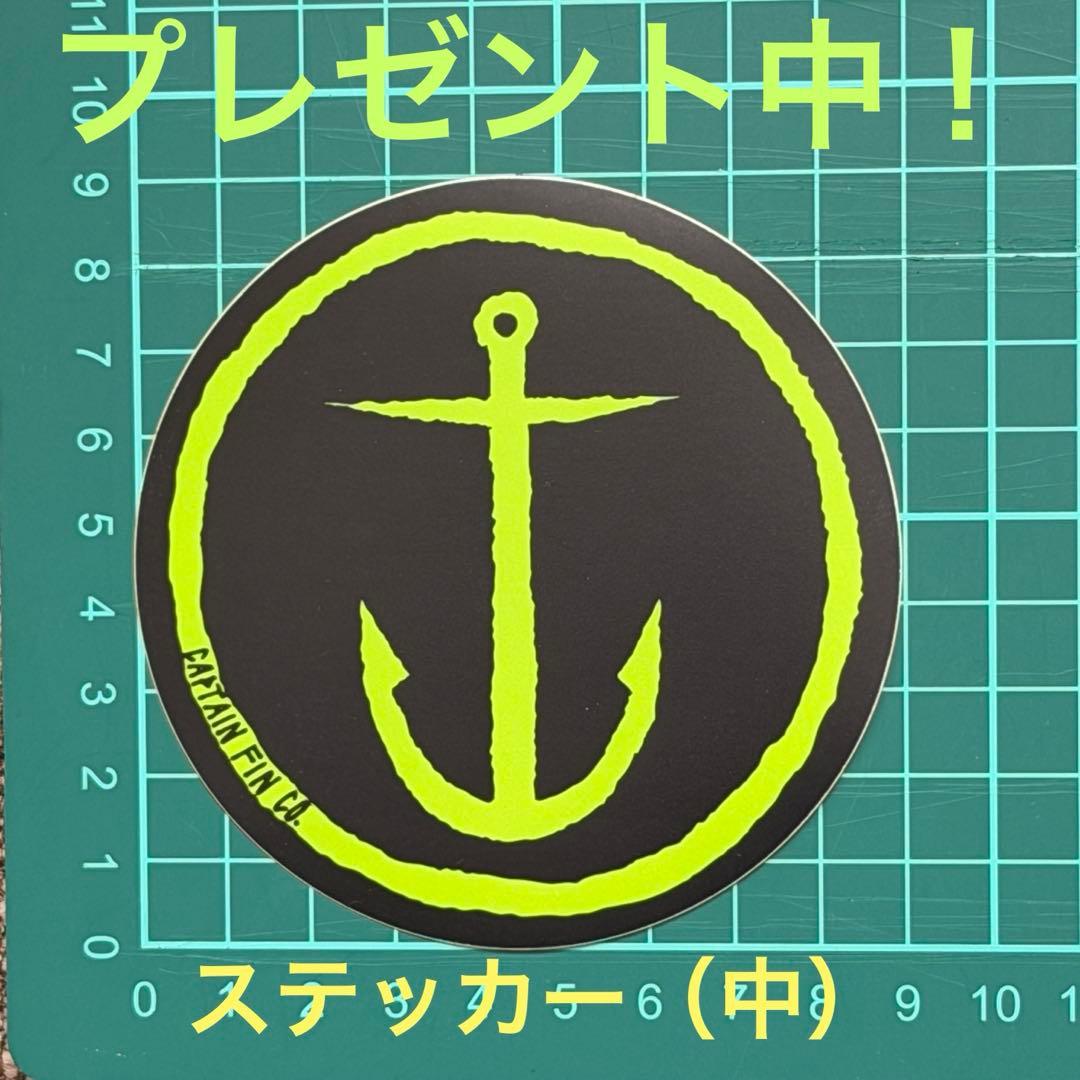 31%OFF！キャプテンフィン 『ソリッドライン金尾レオモデル』FUTURES