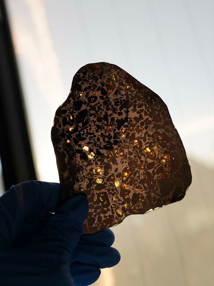 太陽系外の惑星　チベット　Gyarub Zangbo パラサイト隕石 スライス