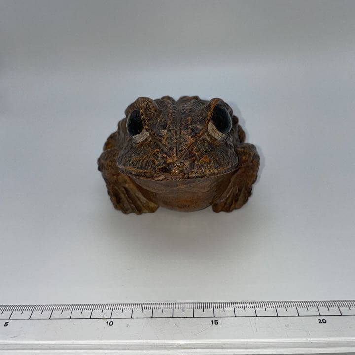 かえるの置物 竹根