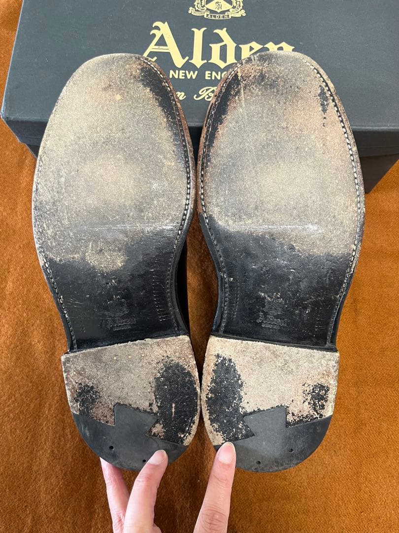 Alden 9901 コードバン6E