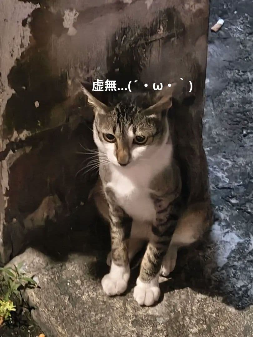 【激レア！！】タイのお守りプラクルアン！神秘のタ・ロウ！幸運&守護！！