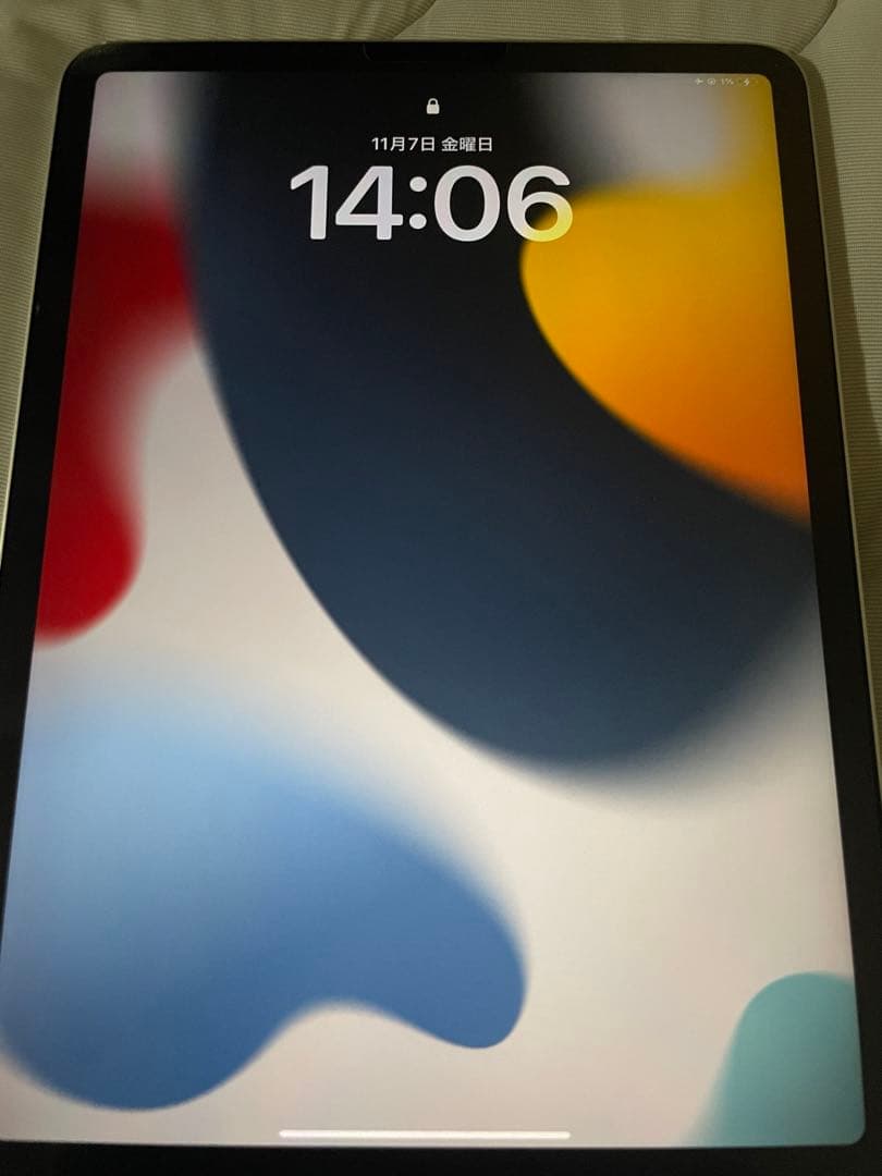 Apple iPad Pro 11インチ 第2世代 シルバーWiFiモデル 本体