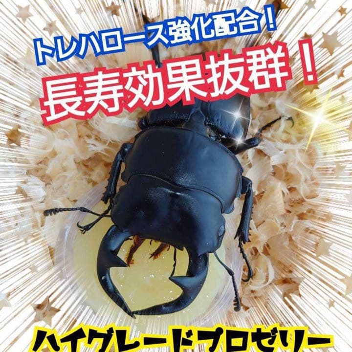特選ハイグレードプロゼリー500個　産卵促進・長寿に抜群！食べやすいワイドカップ