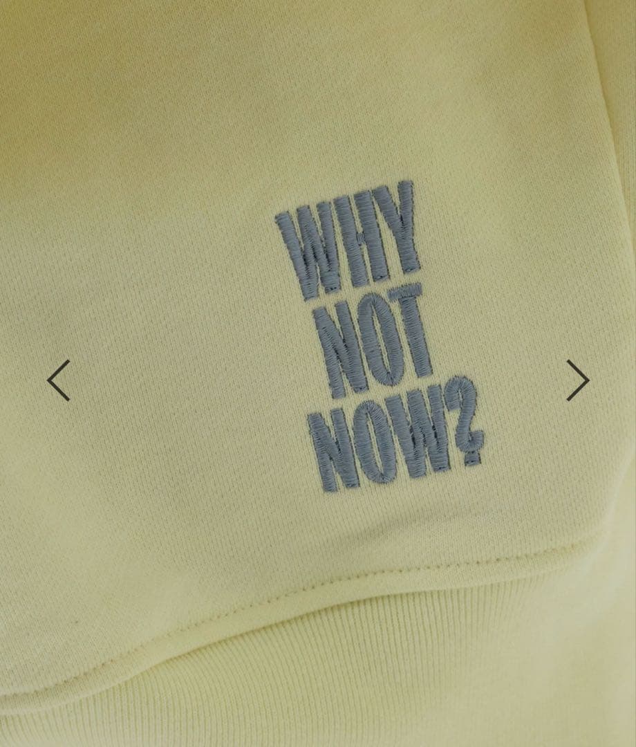 Chaos(カオス) WHY NOT NOWコアスキッパープルオーバー