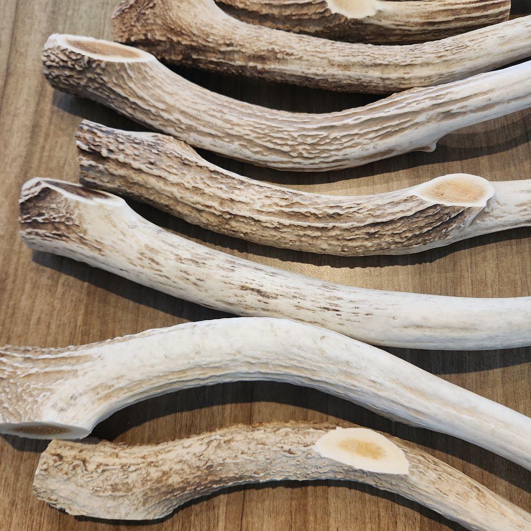 ぶち　鹿の角 (特大～大サイズ)犬用おもちゃ ランダム　2kg　8本