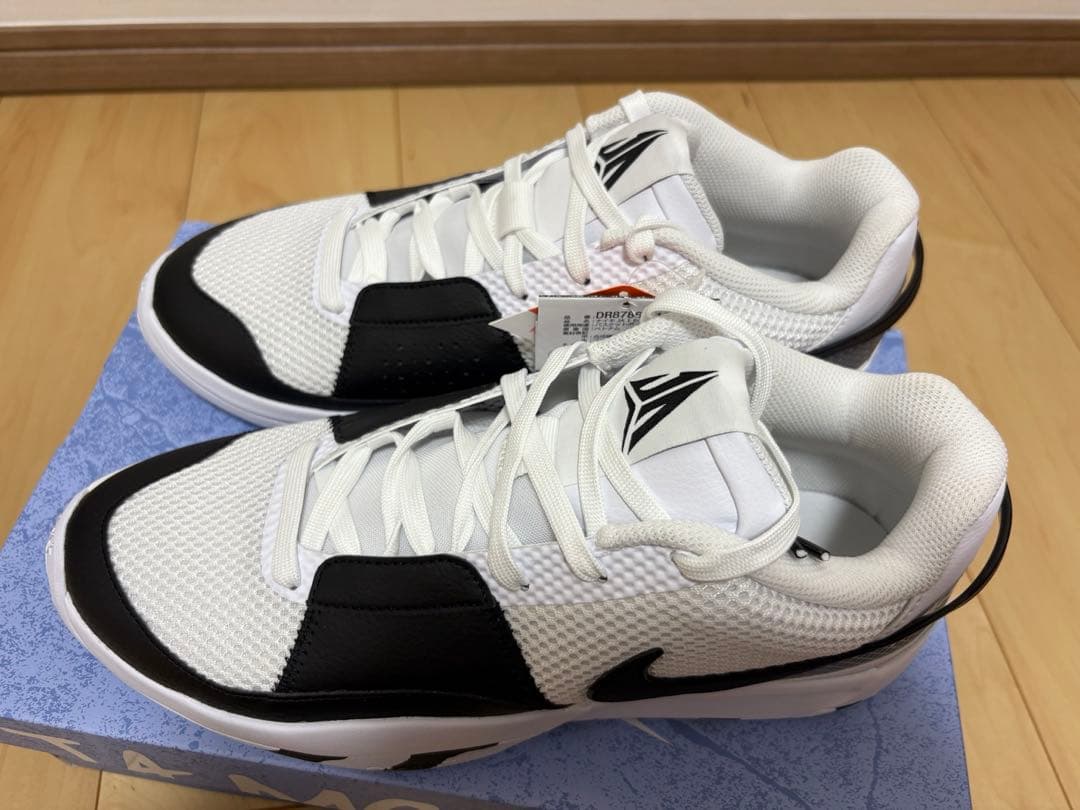 シューズ(男性用) NIKE JA 1 EP DR8786 101 28.5