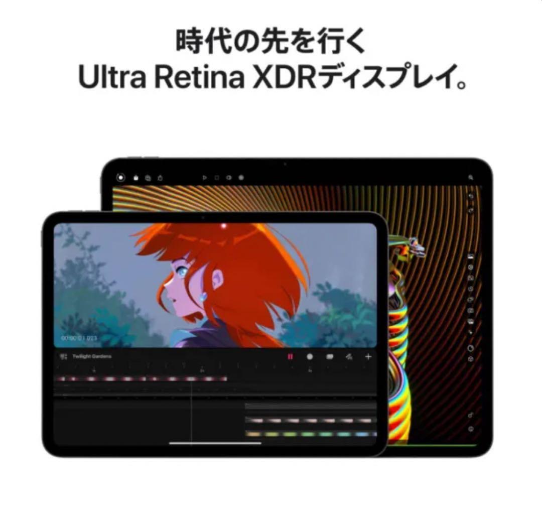 【SIMフリー】13インチiPad Pro（M4）Apple M4 10コアCP