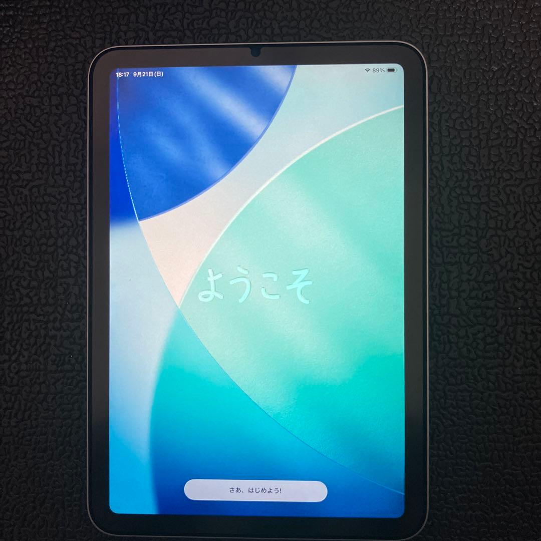 iPad 本体 mini 第7世代 256GB