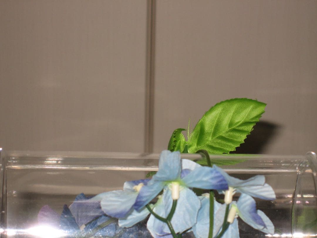 Canon IXY 800IS PC1176 充電器　箱 コンデジ　訳あり