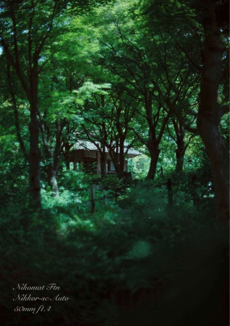 nikon ftn＊50mm f1.4★完動品＊美品＊初期保証＊作例多数！