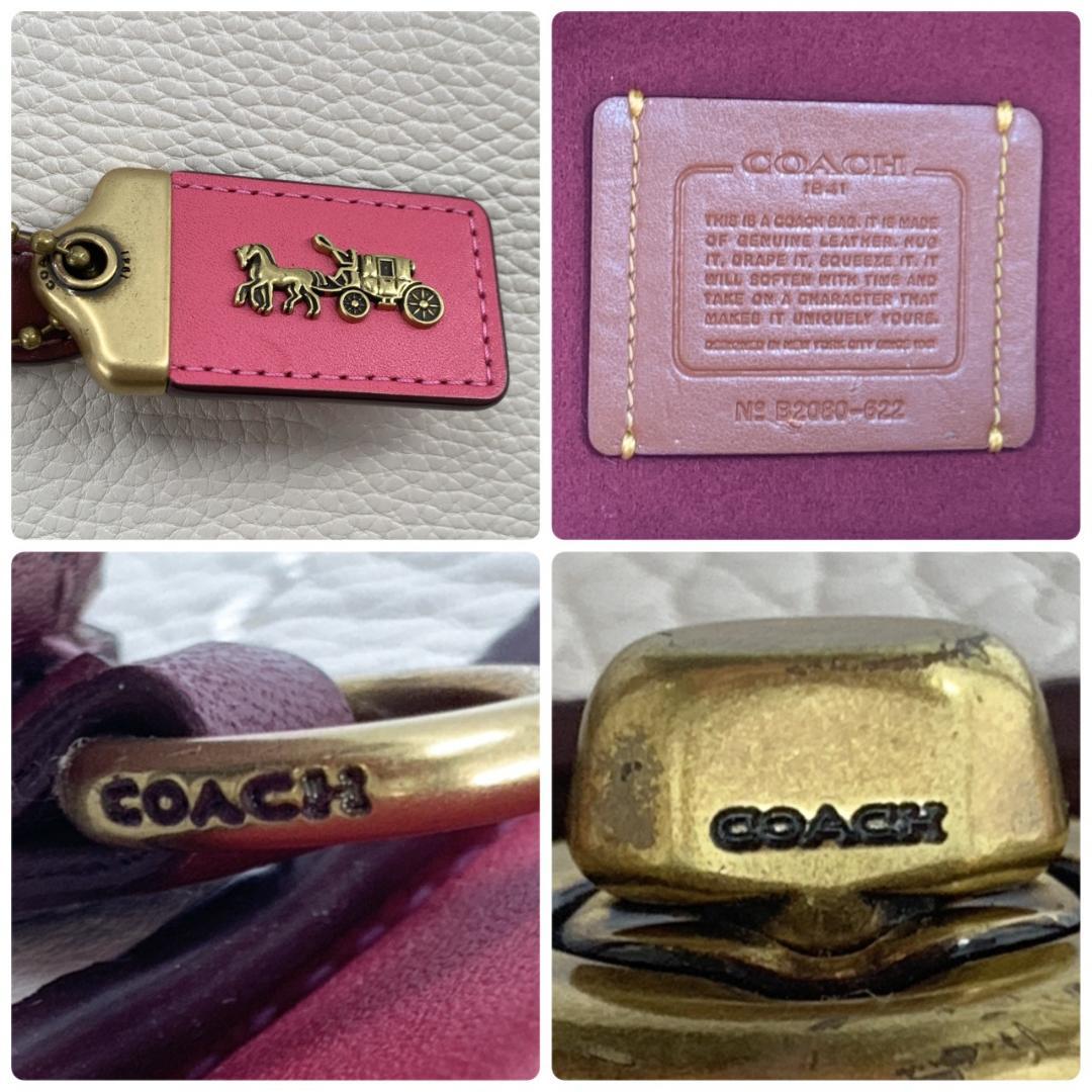 コーチ トループ キャリーオール 2way ハンドバッグ 本革 バイカラー