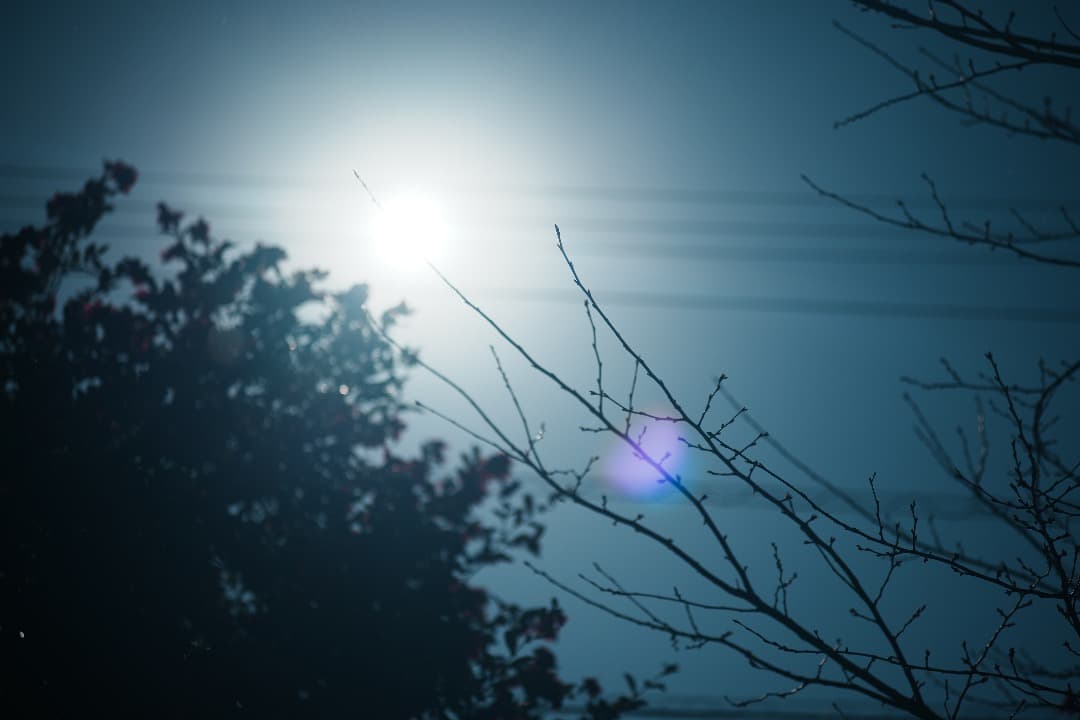 【整備＆テスト済】Nikon SERIES E 100mm F2.8 873