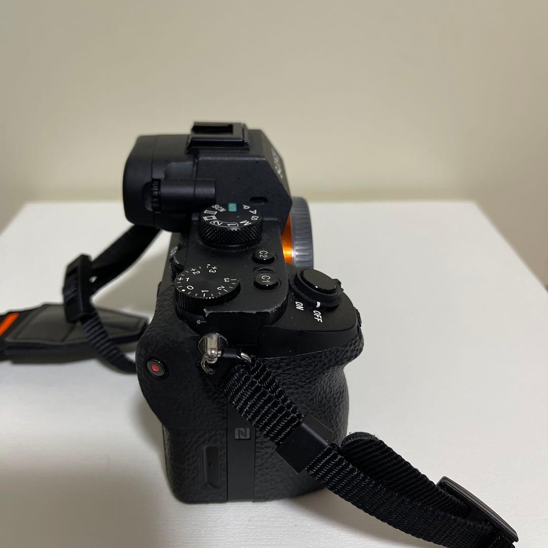 SONY α7Ⅱ( ILCE-7M2 )/ SONY FE 85mm F1.8