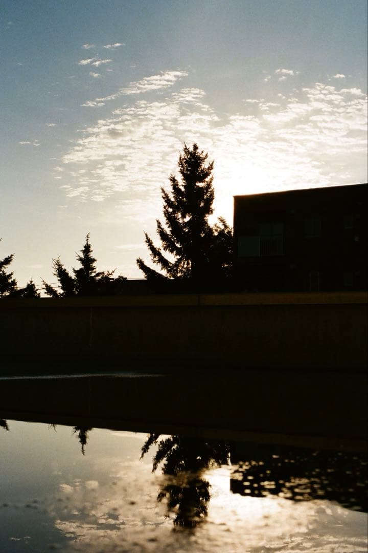 レンズ(単焦点) CONTAX Carl Zeiss Planar 50mm f1.4 AEJ