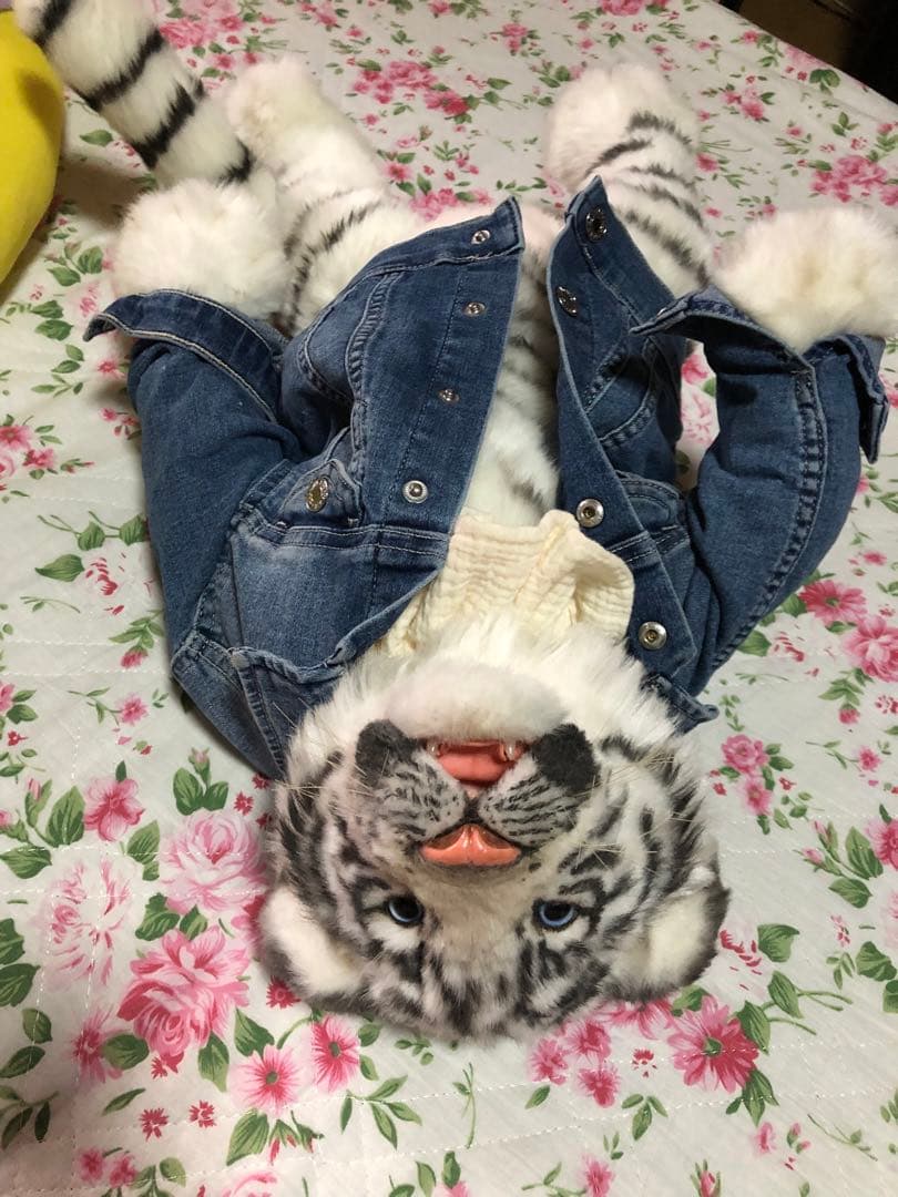 ホワイトタイガー ぬいぐるみ⭐️リボーンドール⭐️海外作家