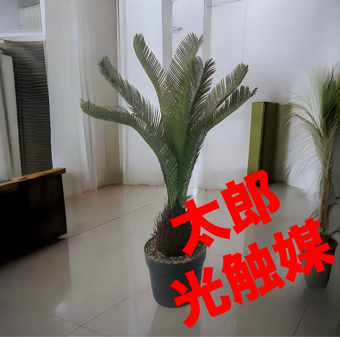 光触媒　人工観葉植物　ウォールグリーン　フェイクグリーン　ソテツ120