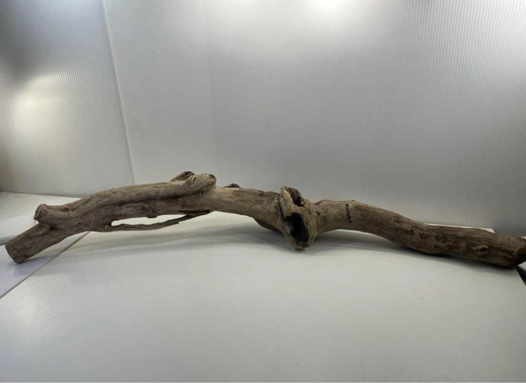 専用品 大型流木 アク抜き済み