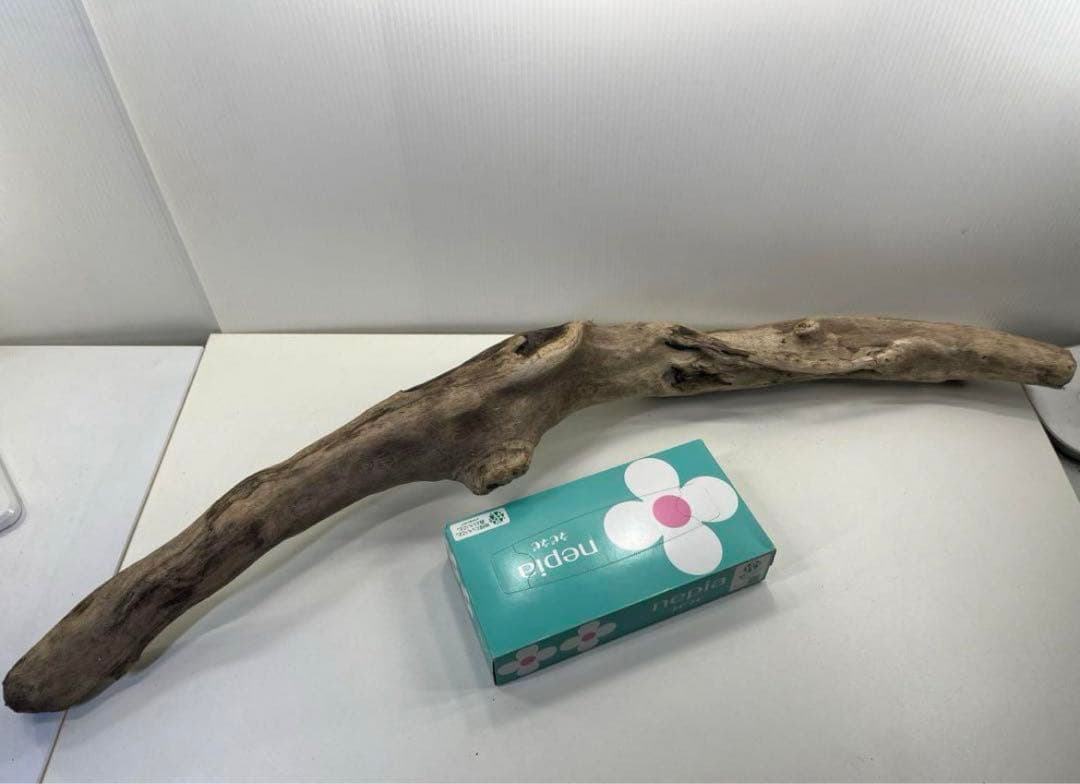 専用品 大型流木 アク抜き済み