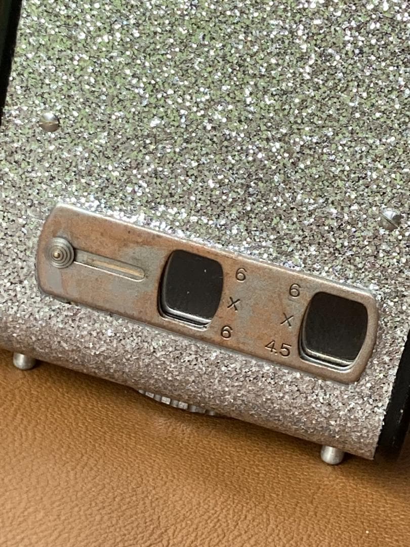 キラキラ感　春のきらめき　YASHICA ROOKIE　FOR　INTERIOR