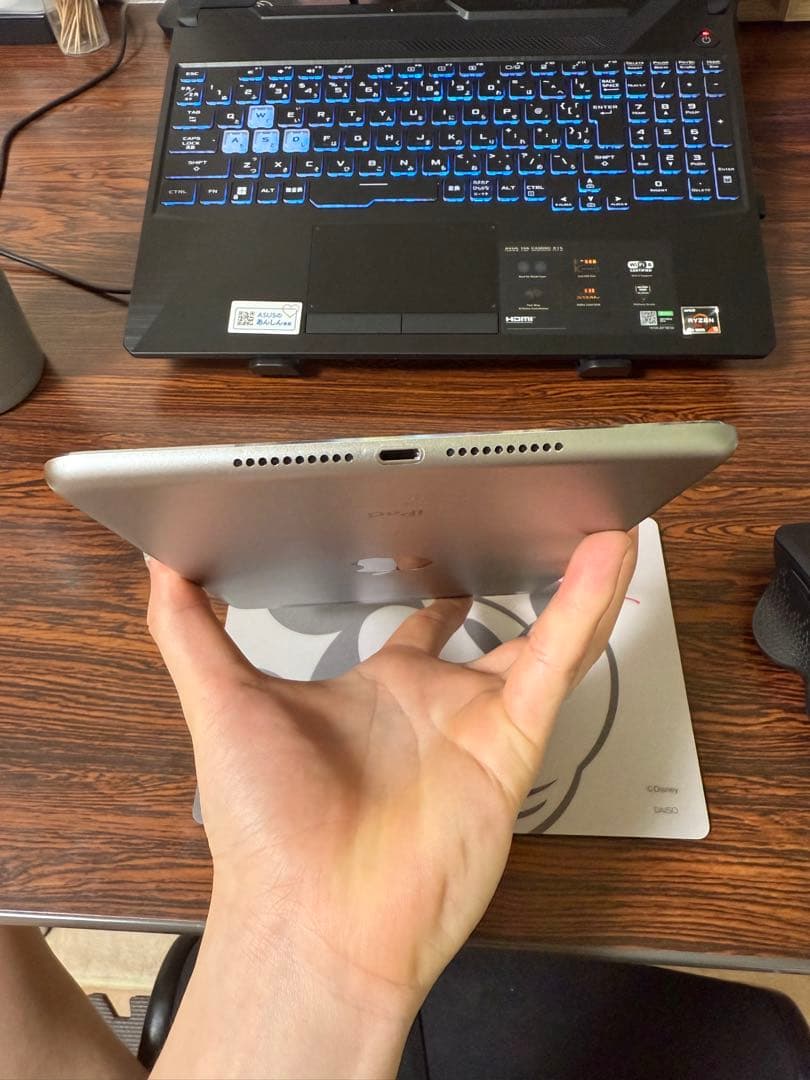 Apple iPad mini (第4世代) 64GB