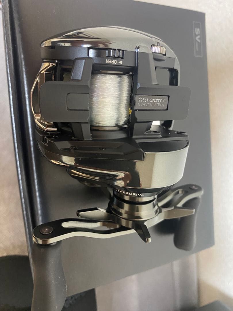 DAIWA 24スティーズ SV TW 100XHL